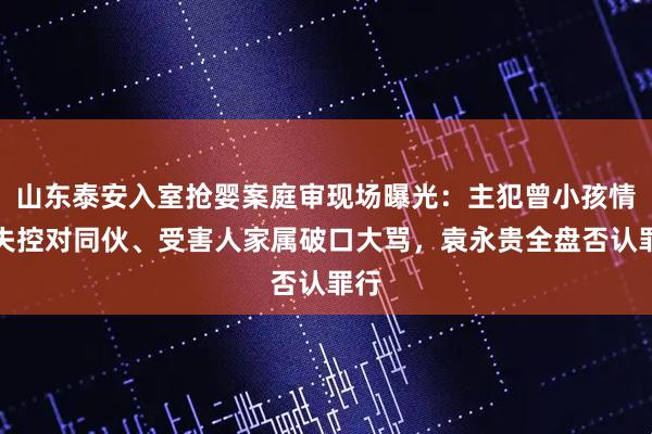 山东泰安入室抢婴案庭审现场曝光:主犯曾小孩情绪失控对同伙、受害人家属破口大骂,袁永贵全盘否认罪行